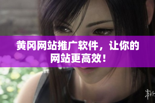 黄冈网站推广软件，让你的网站更高效！