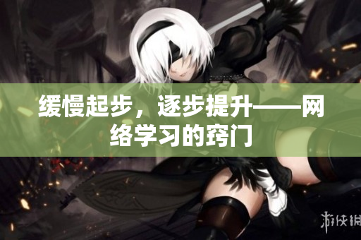 缓慢起步，逐步提升——网络学习的窍门