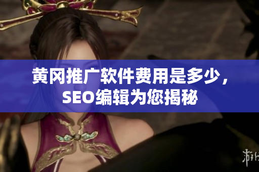 黄冈推广软件费用是多少，SEO编辑为您揭秘