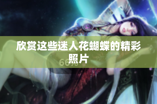 欣赏这些迷人花蝴蝶的精彩照片
