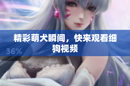 精彩萌犬瞬间，快来观看细狗视频