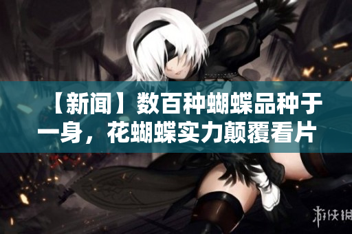 【新闻】数百种蝴蝶品种于一身，花蝴蝶实力颠覆看片市场