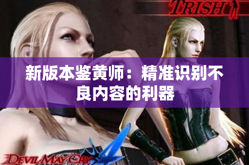新版本鉴黄师：精准识别不良内容的利器