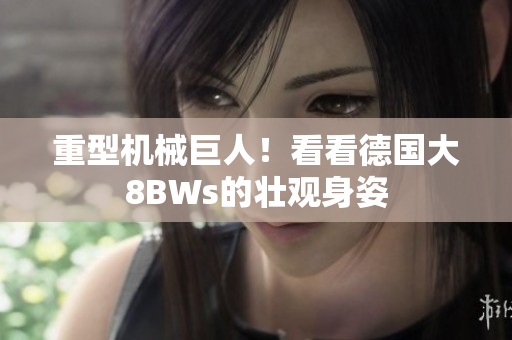 重型机械巨人！看看德国大8BWs的壮观身姿