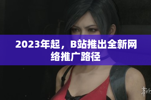 2023年起，B站推出全新网络推广路径