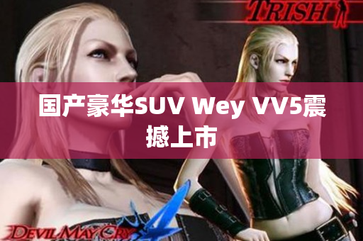 国产豪华SUV Wey VV5震撼上市