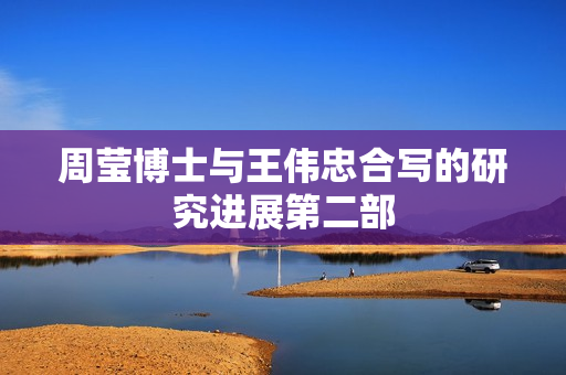 周莹博士与王伟忠合写的研究进展第二部