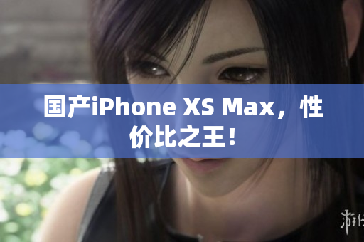 国产iPhone XS Max，性价比之王！