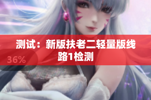 测试：新版扶老二轻量版线路1检测