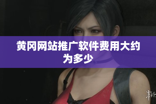 黄冈网站推广软件费用大约为多少