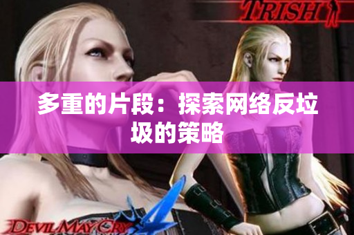 多重的片段：探索网络反垃圾的策略