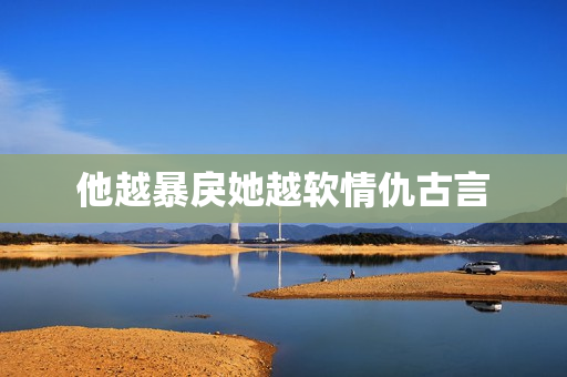 他越暴戾她越软情仇古言