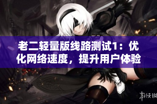 老二轻量版线路测试1：优化网络速度，提升用户体验