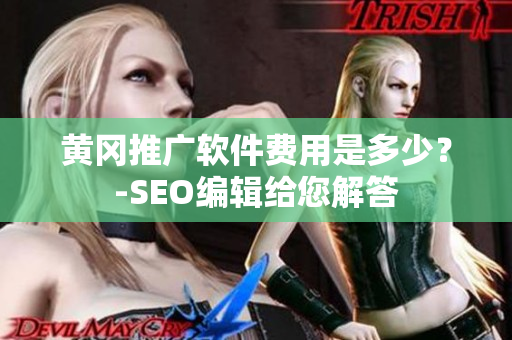黄冈推广软件费用是多少？-SEO编辑给您解答
