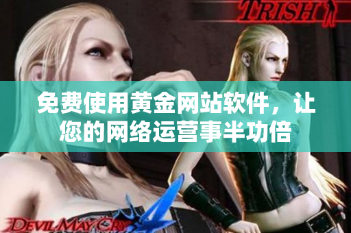 免费使用黄金网站软件，让您的网络运营事半功倍