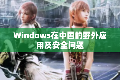 Windows在中国的野外应用及安全问题