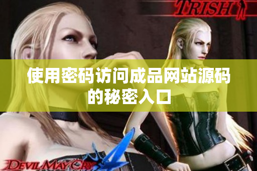 使用密码访问成品网站源码的秘密入口