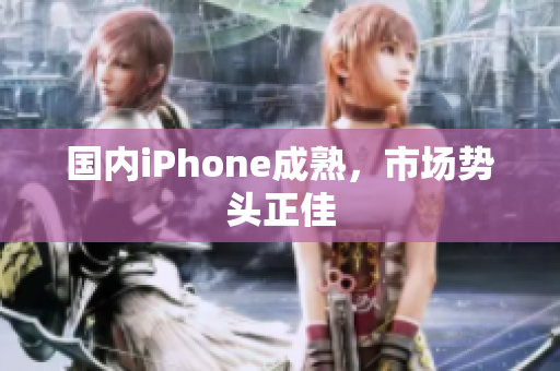 国内iPhone成熟，市场势头正佳