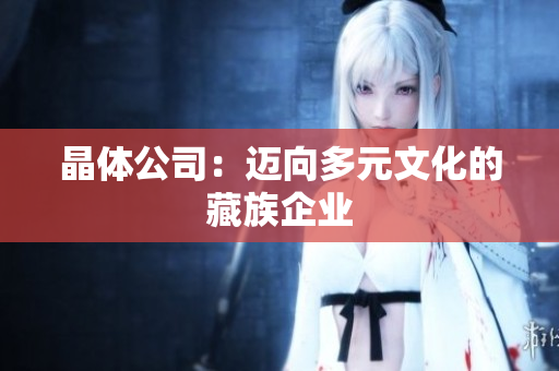 晶体公司：迈向多元文化的藏族企业