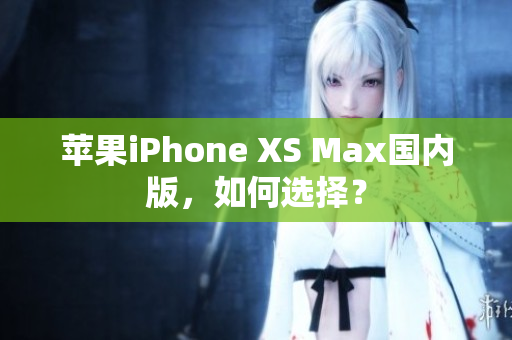 苹果iPhone XS Max国内版，如何选择？