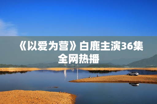 《以爱为营》白鹿主演36集全网热播