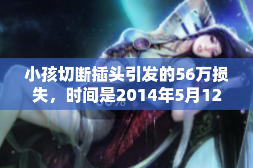 小孩切断插头引发的56万损失，时间是2014年5月12日