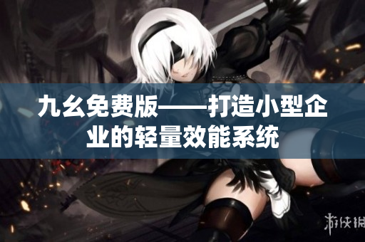 九幺免费版——打造小型企业的轻量效能系统