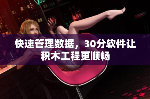 快速管理数据，30分软件让积木工程更顺畅