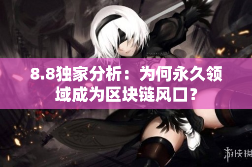 8.8独家分析：为何永久领域成为区块链风口？