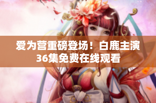 爱为营重磅登场！白鹿主演36集免费在线观看