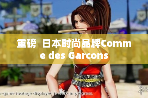 重磅  日本时尚品牌Comme des Garcons