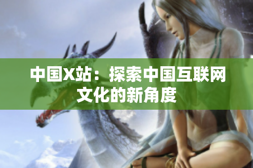 中国X站：探索中国互联网文化的新角度
