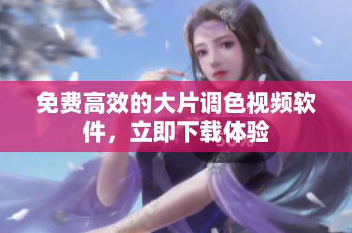免费高效的大片调色视频软件，立即下载体验