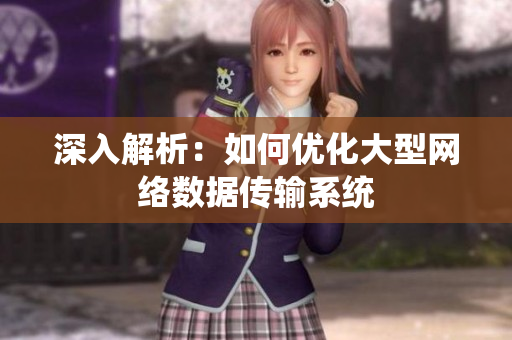 深入解析：如何优化大型网络数据传输系统