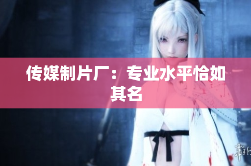 传媒制片厂：专业水平恰如其名