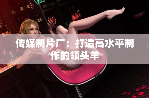 传媒制片厂：打造高水平制作的领头羊