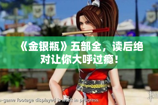 《金银瓶》五部全，读后绝对让你大呼过瘾！