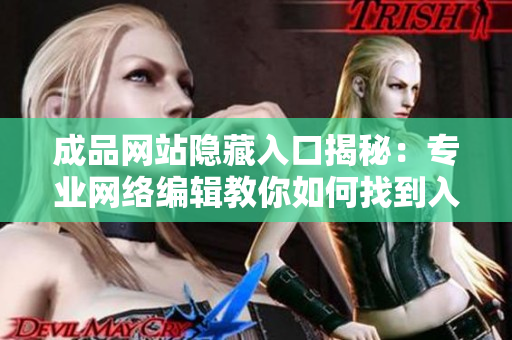 成品网站隐藏入口揭秘：专业网络编辑教你如何找到入口
