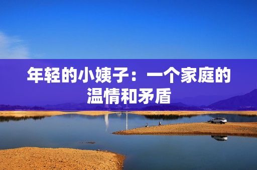 年轻的小姨子：一个家庭的温情和矛盾