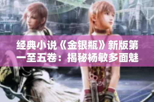 经典小说《金银瓶》新版第一至五卷：揭秘杨敏多面魅力