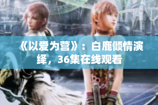 《以爱为营》：白鹿倾情演绎，36集在线观看