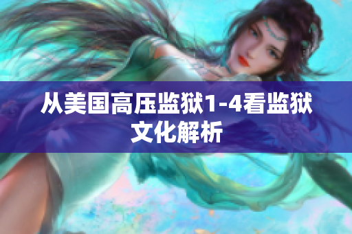 从美国高压监狱1-4看监狱文化解析