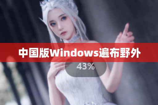中国版Windows遍布野外