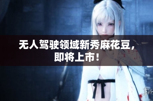 无人驾驶领域新秀麻花豆，即将上市！