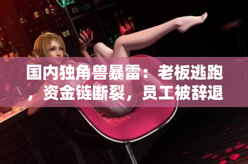 国内独角兽暴雷：老板逃跑，资金链断裂，员工被辞退