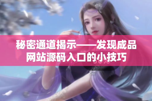 秘密通道揭示——发现成品网站源码入口的小技巧