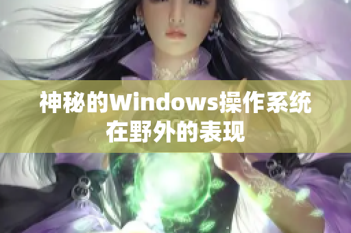 神秘的Windows操作系统在野外的表现