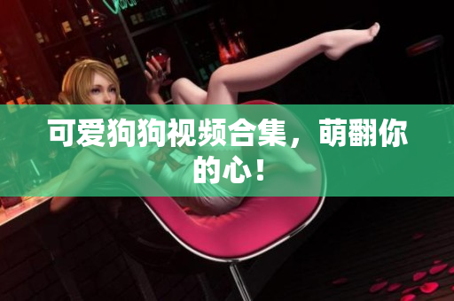 可爱狗狗视频合集，萌翻你的心！