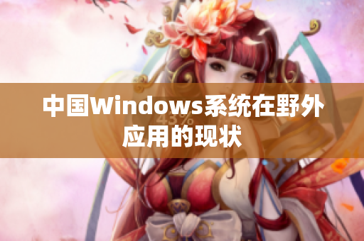 中国Windows系统在野外应用的现状