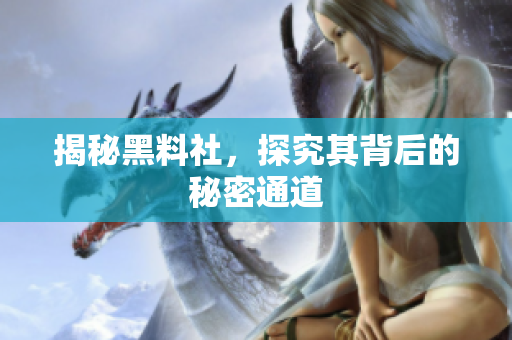 揭秘黑料社，探究其背后的秘密通道